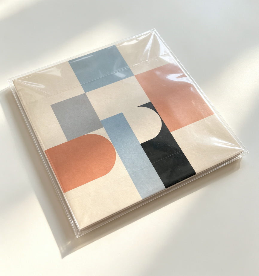 Clear outer sleeve preserving vinyl album artwork for long-term display